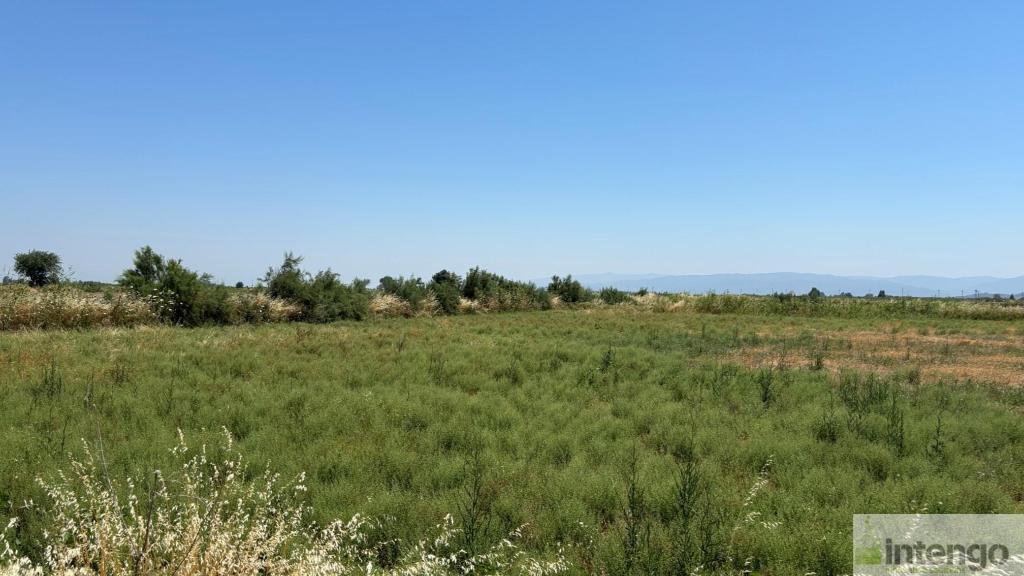 SÖKE GÜLLÜBAHÇE MAHALLESİ'NDE SATILIK TARLA (Y-1781)