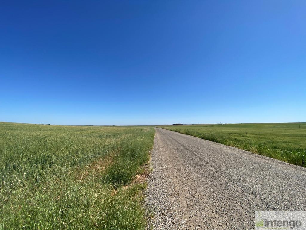 ÇINAR ÖNCÜLÜ KÖYÜ'NDE SATILIK HİSSELİ TARLA (19085)