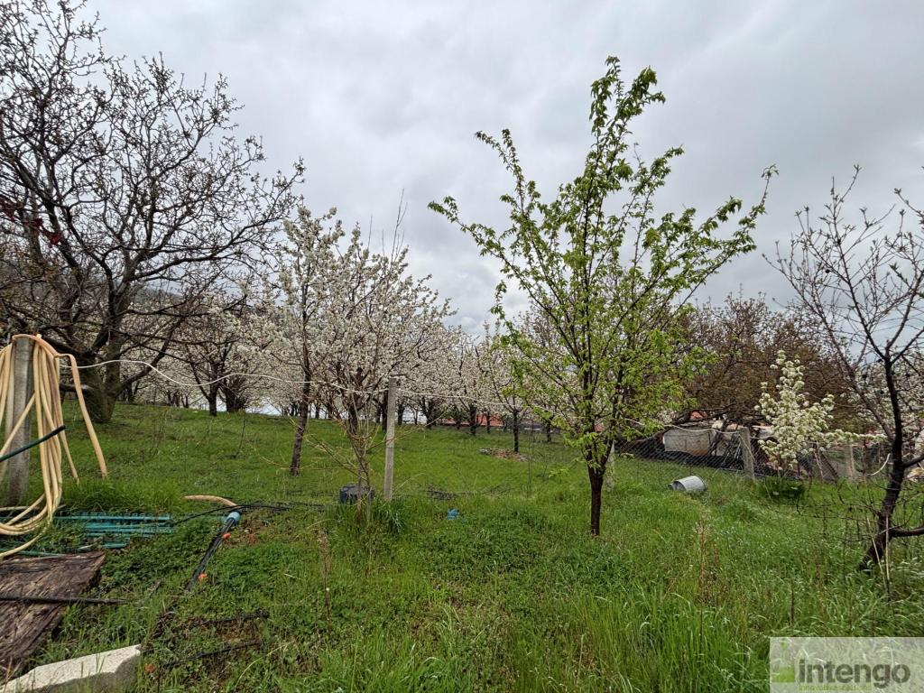 AKŞEHİR SARAY MAHALLESİ'NDE SATILIK MÜSTAKİL EV (420)