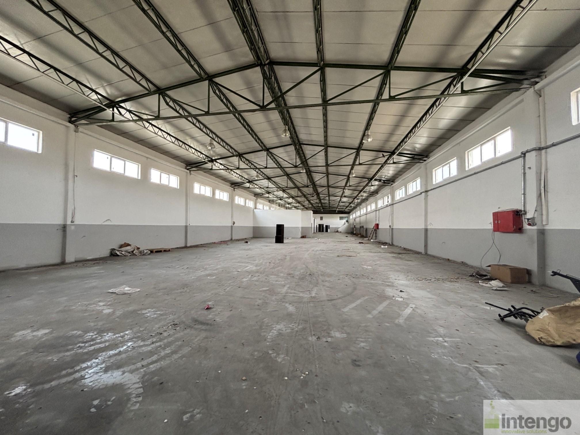 https://refiles.intengo.com/images/real-estate/133/6049/283f7a93-5c2e-4efe-a29c-0545423e7cbf.jpg