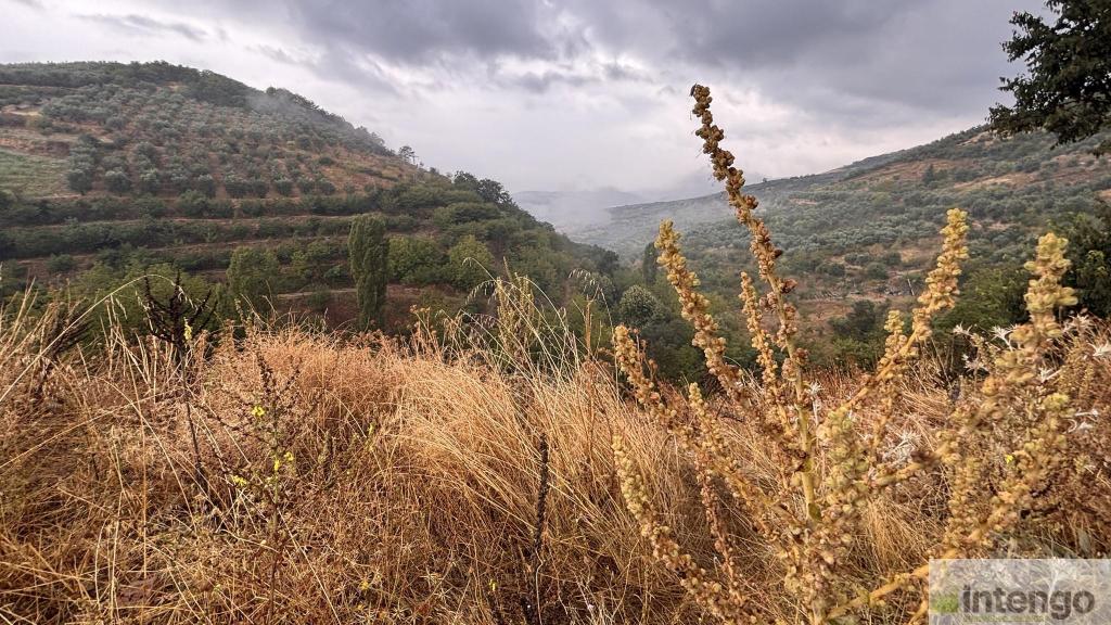 İZNİK TACİR MAHALLESİ'NDE SATILIK ARSA (1079) — foto 2
