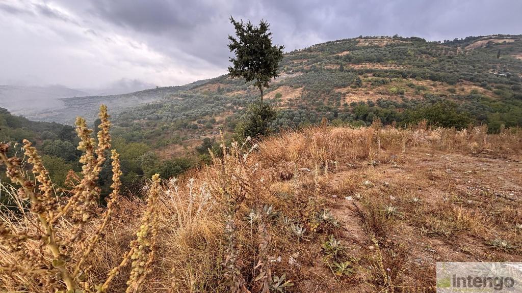 İZNİK TACİR MAHALLESİ'NDE SATILIK ARSA (1079) — foto 4