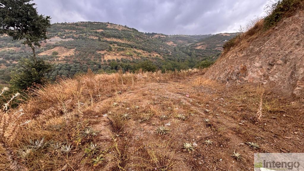 İZNİK TACİR MAHALLESİ'NDE SATILIK ARSA (1079) — foto 6