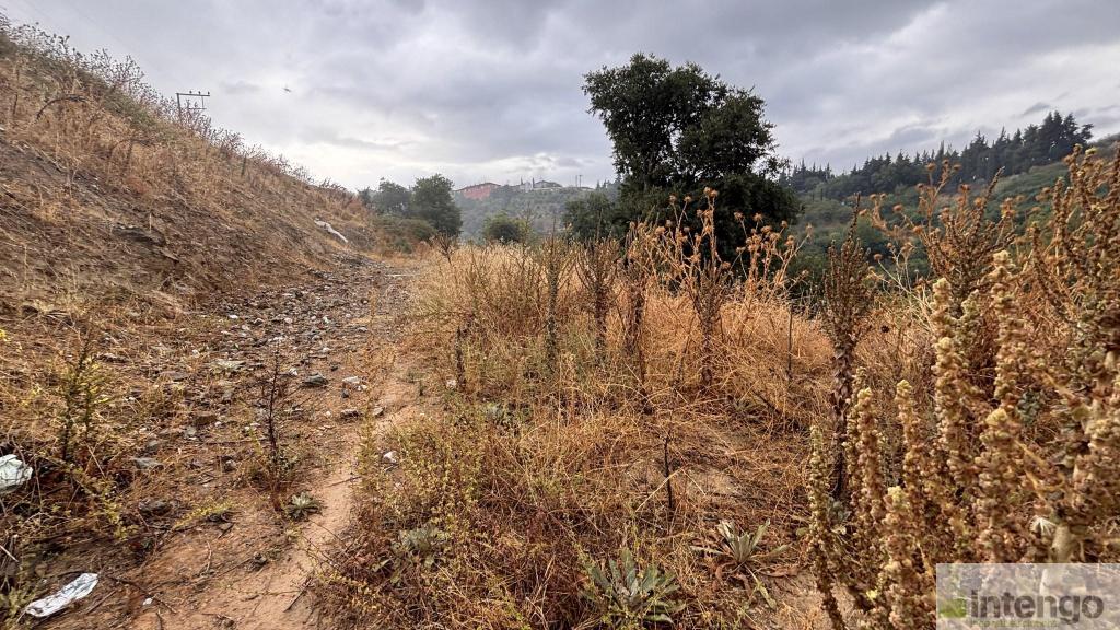 İZNİK TACİR MAHALLESİ'NDE SATILIK ARSA (1080) — foto 5