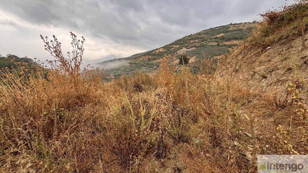 İZNİK TACİR MAHALLESİ'NDE SATILIK ARSA (1080) — foto 3