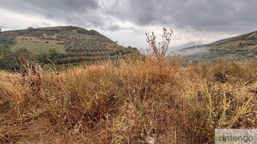 İZNİK TACİR MAHALLESİ'NDE SATILIK ARSA (1080) — foto 2