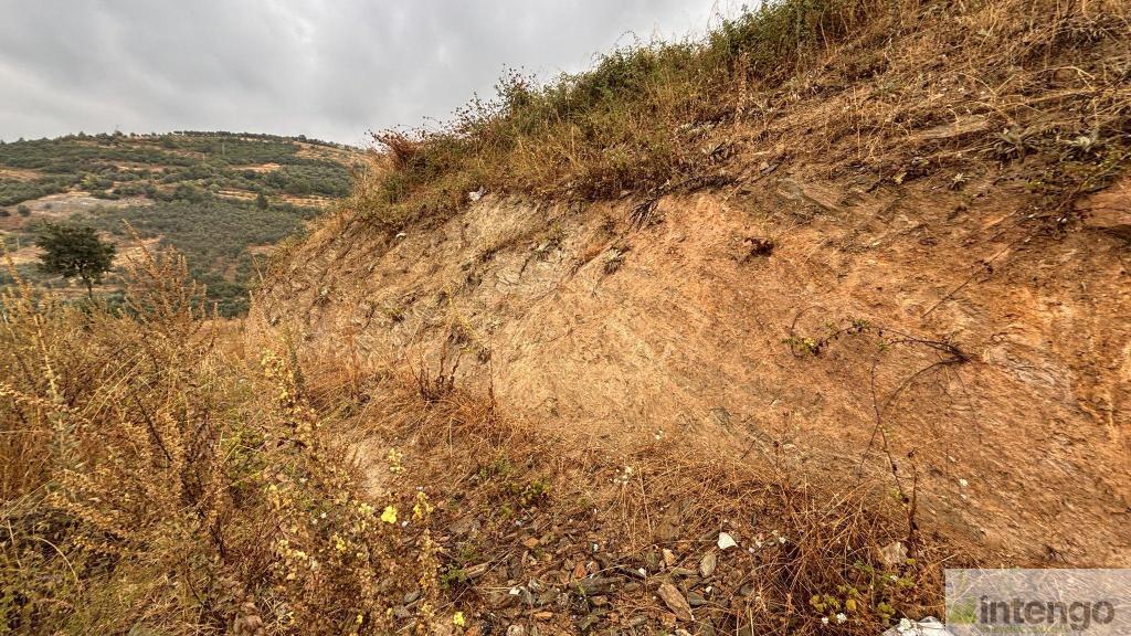 İZNİK TACİR MAHALLESİ'NDE SATILIK ARSA (1080) — foto 7