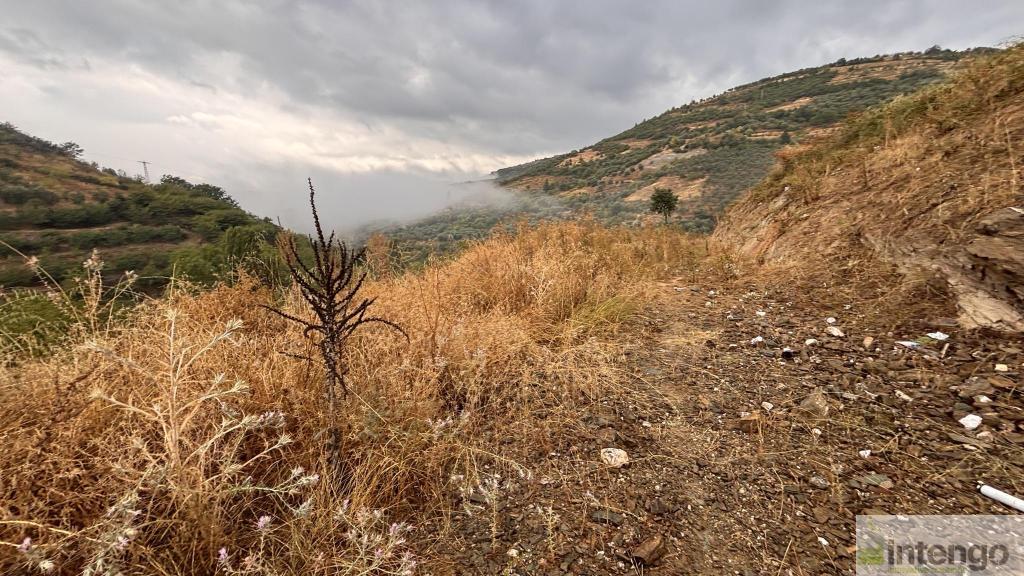 İZNİK TACİR MAHALLESİ'NDE SATILIK ARSA (1081)