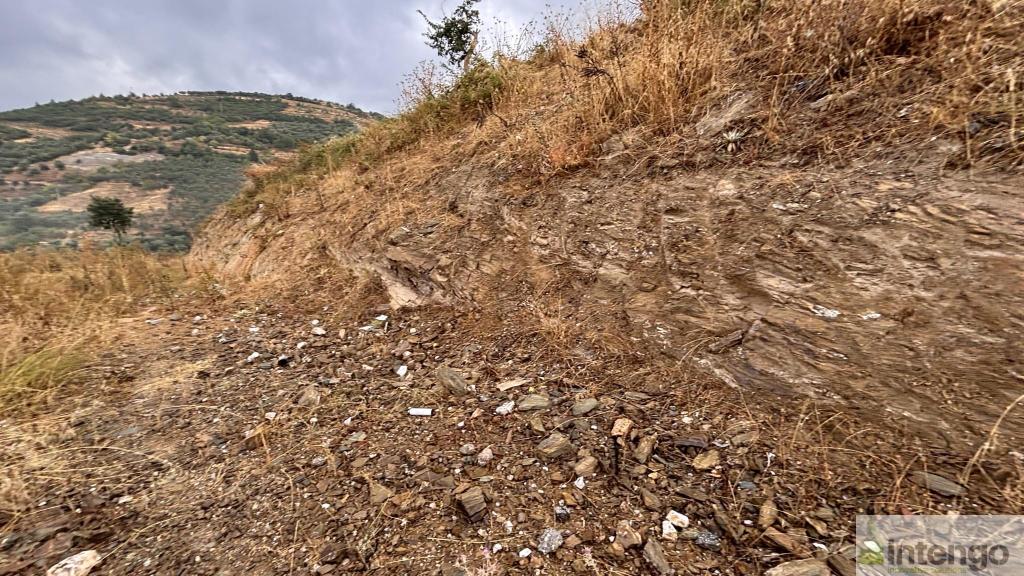 İZNİK TACİR MAHALLESİ'NDE SATILIK ARSA (1081) — foto 5