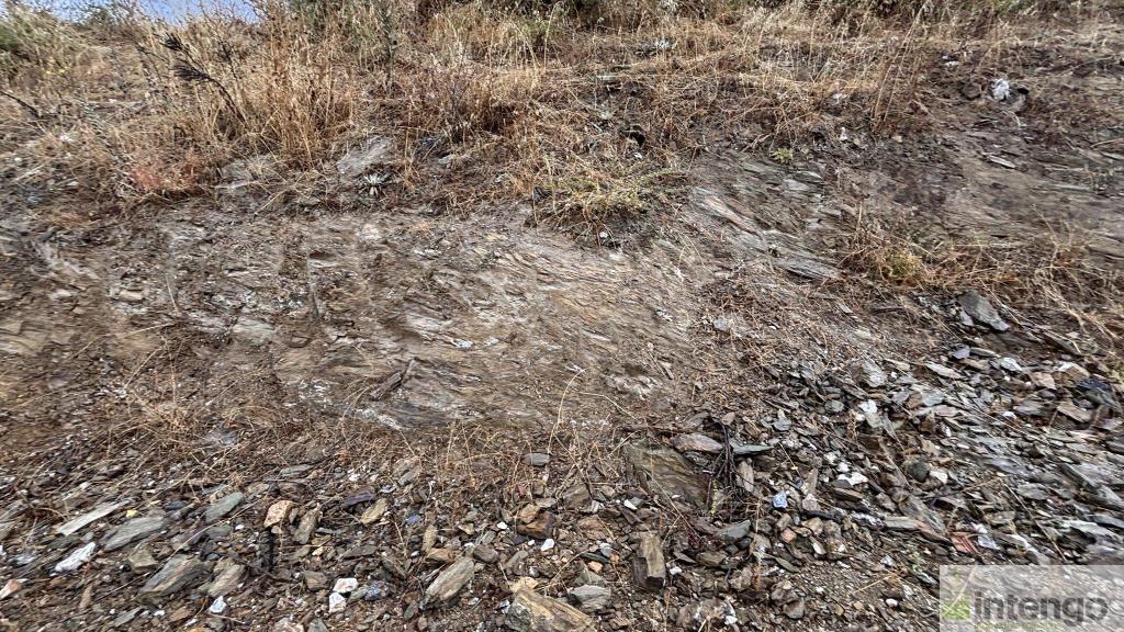 İZNİK TACİR MAHALLESİ'NDE SATILIK ARSA (1081) — foto 7