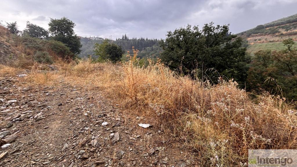 İZNİK TACİR MAHALLESİ'NDE SATILIK ARSA (1082) — foto 3