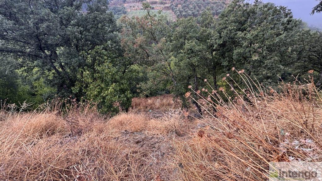 İZNİK TACİR MAHALLESİ'NDE SATILIK ARSA (1082) — foto 4