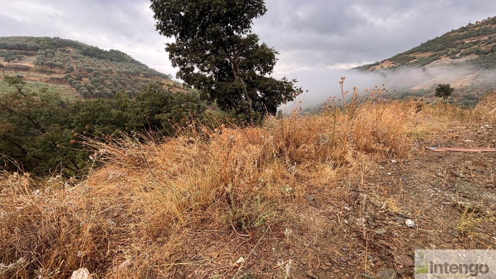 İZNİK TACİR MAHALLESİ'NDE SATILIK ARSA (1082) — foto 2