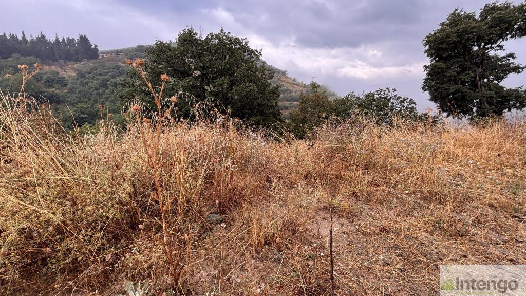 İZNİK TACİR MAHALLESİ'NDE SATILIK ARSA (1083) — foto 2