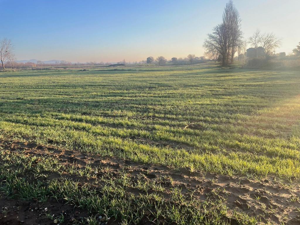 Satılık Tarla - Çanakkale Bayramiç