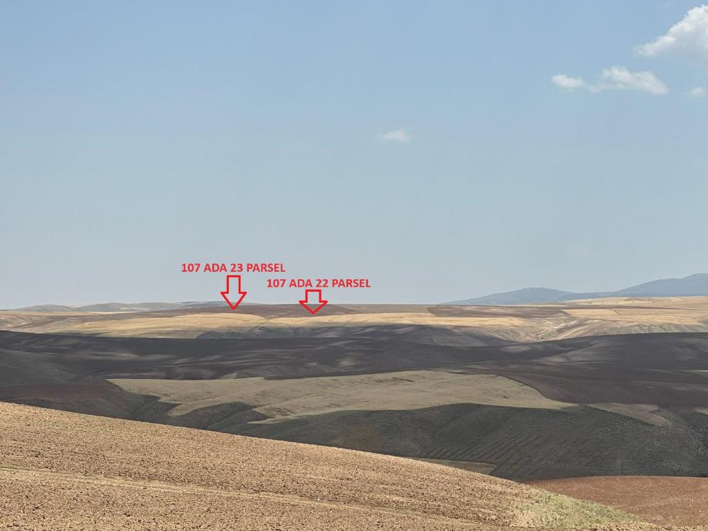 VakıfBank'tan Satılık Tarla