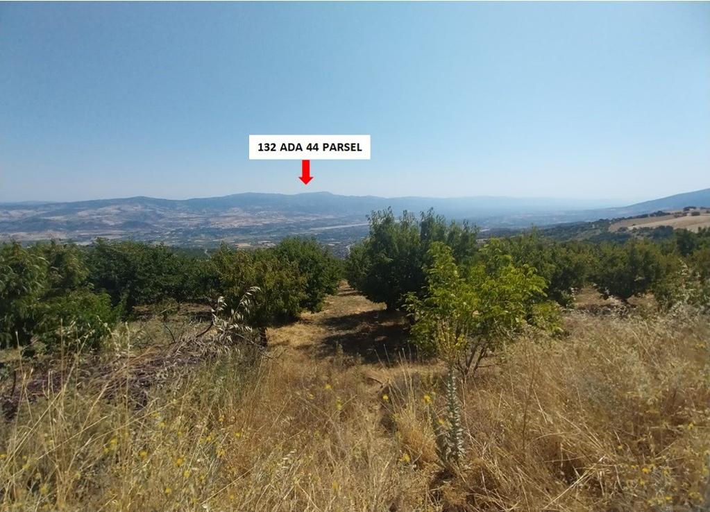 Arsa/Arazi - TOKAT MERKEZ