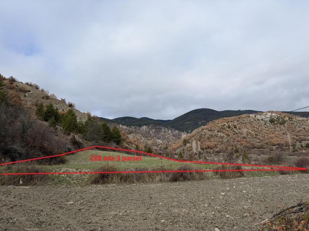 Arsa/Arazi - KASTAMONU TOSYA