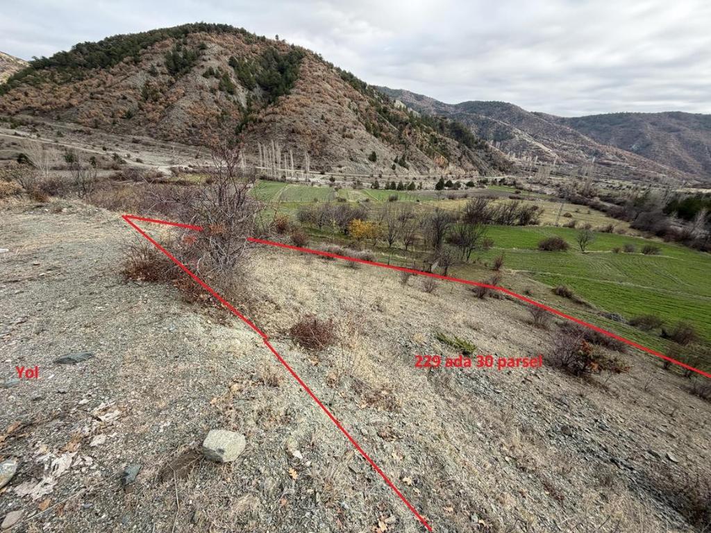 Arsa/Arazi - KASTAMONU TOSYA