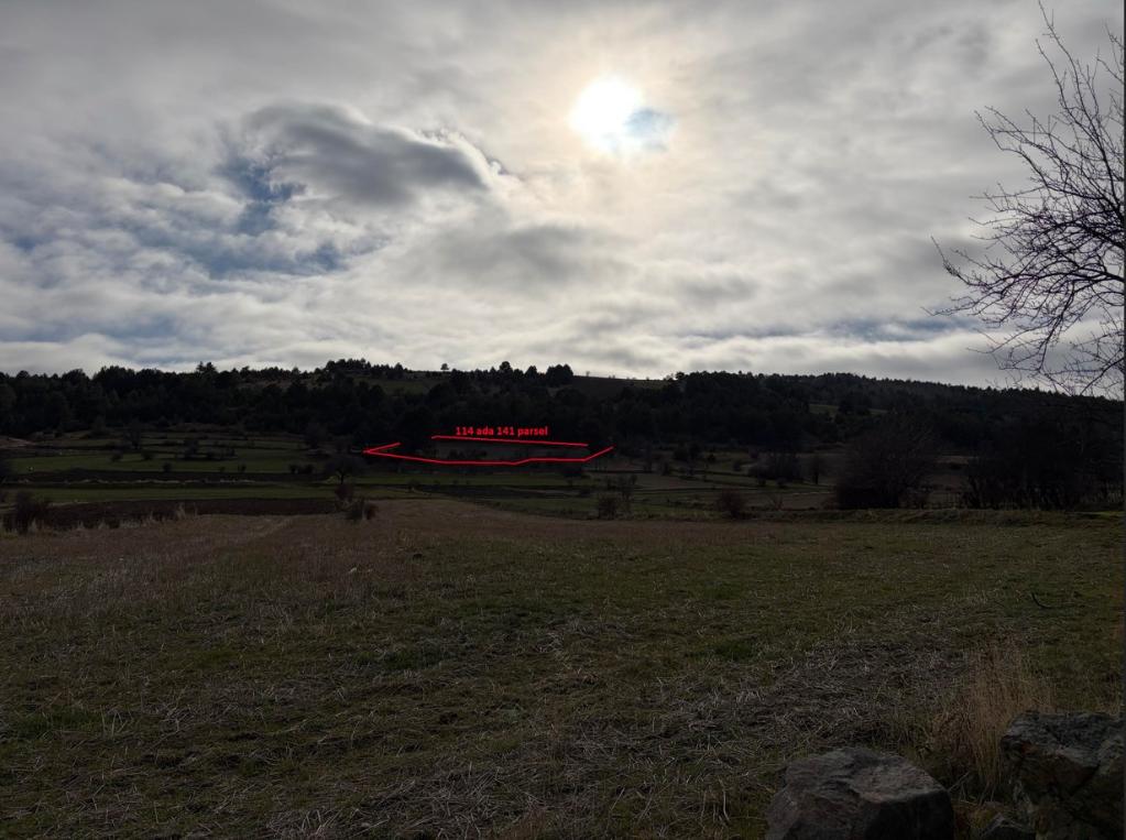 Arsa/Arazi - KASTAMONU TOSYA