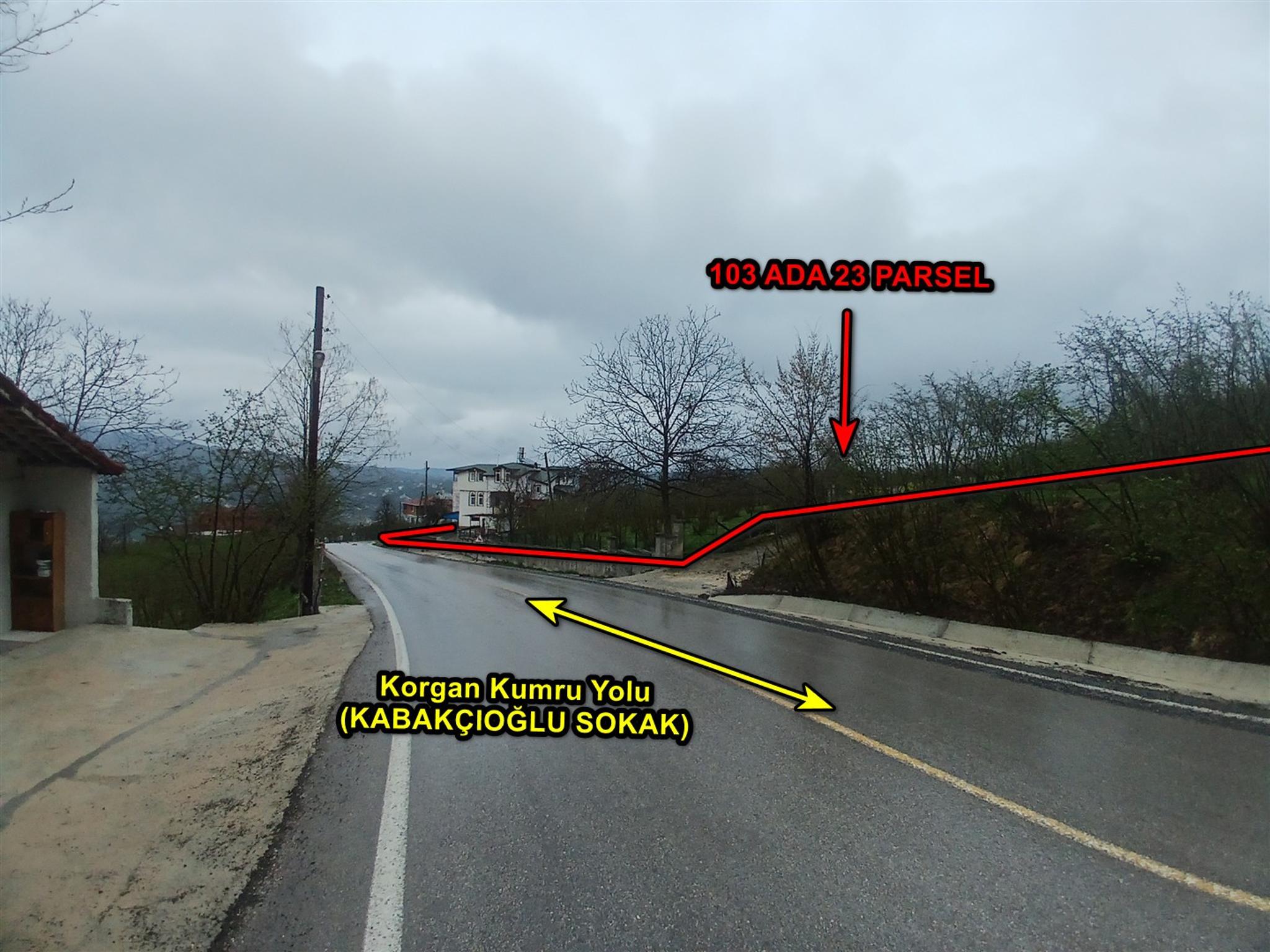 Satılık Müstakil Ev - Ordu Kumru ilan görseli 3
