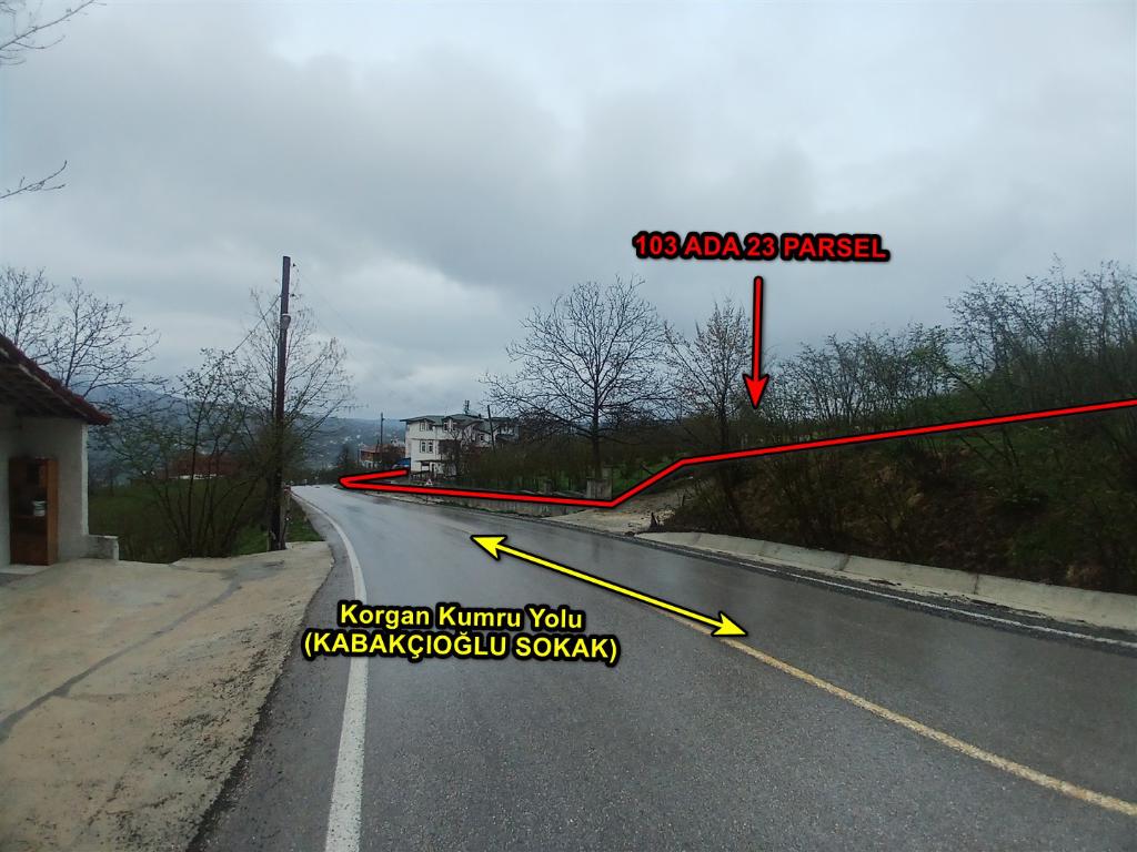 Satılık Müstakil Ev - Ordu Kumru ilan görseli 10