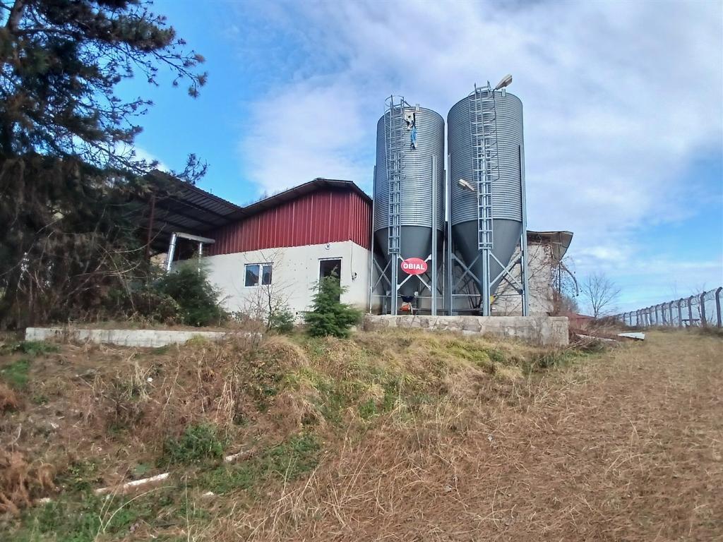 Görsel 15