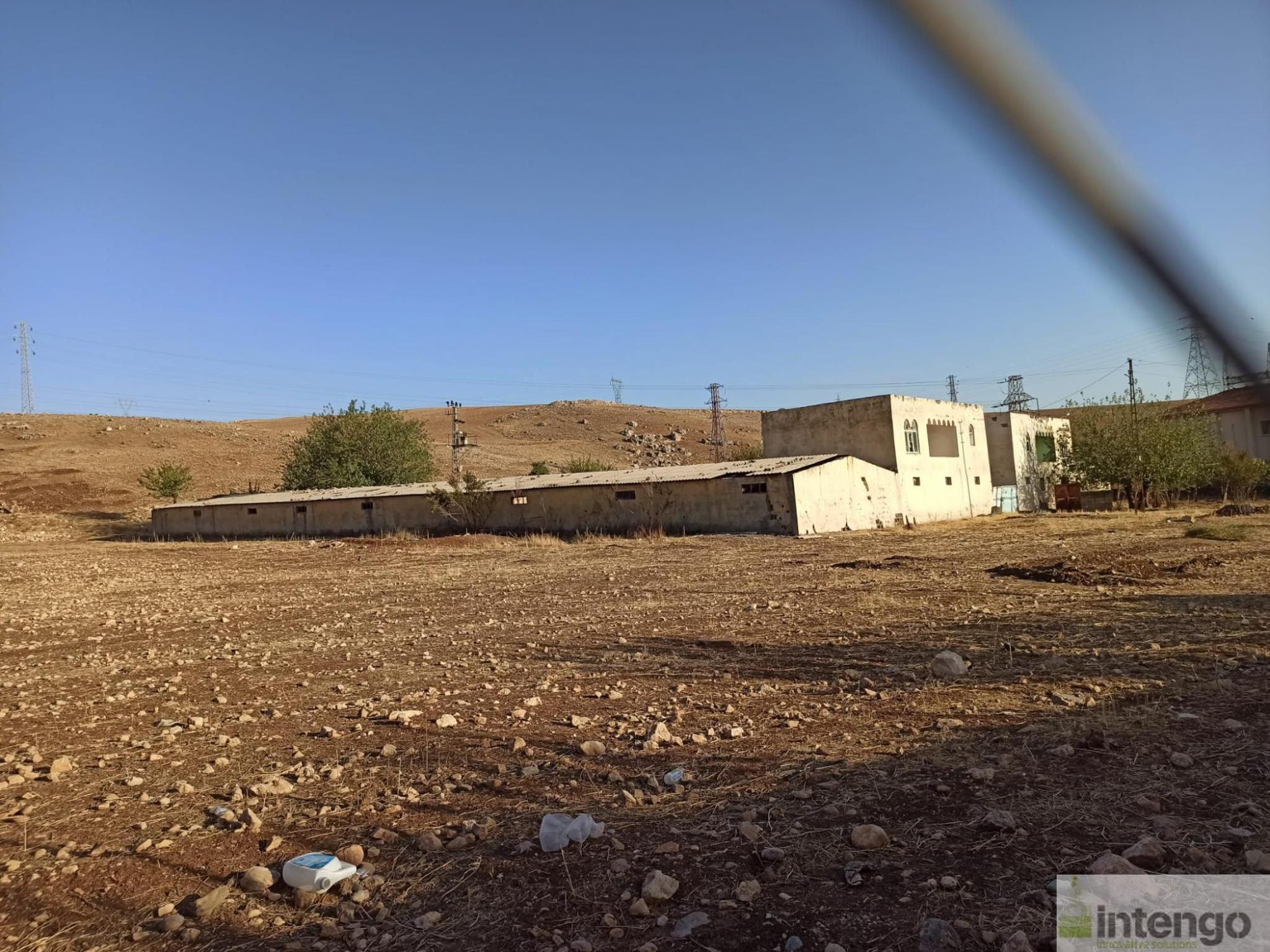 İşyeri - SİİRT KURTALAN - 11.024 m²