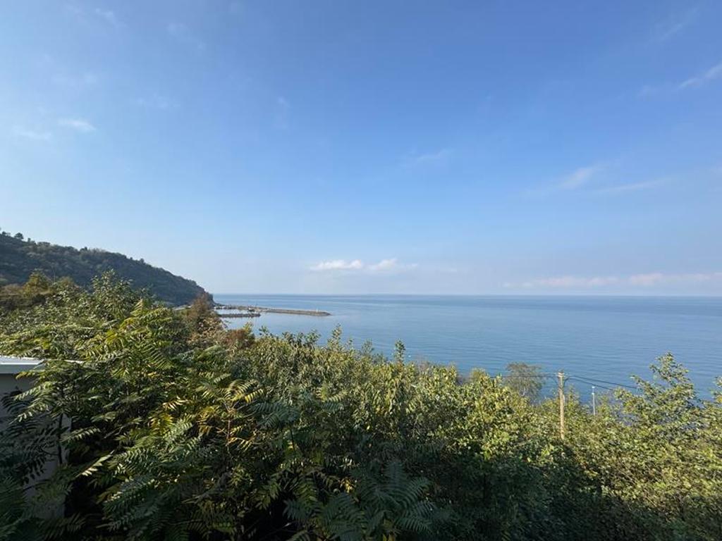 İşyeri - GİRESUN EYNESİL