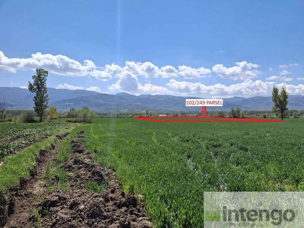 Satılık Tarla - Tokat Pazar ilan görseli 20