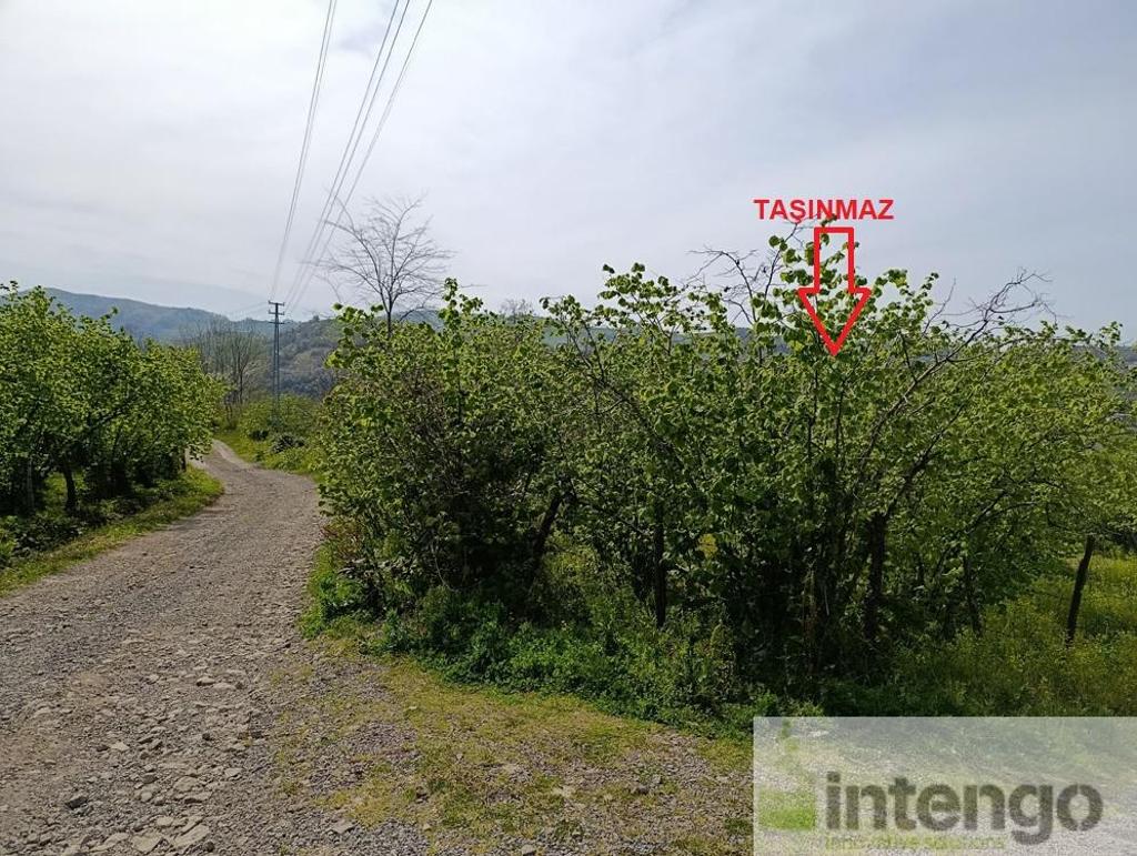 Satılık Arsa/Arazi - Ordu Ünye ilan görseli 28