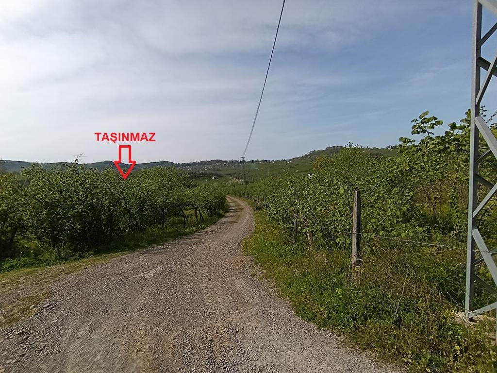 Satılık Arsa/Arazi - Ordu Ünye ilan görseli 22