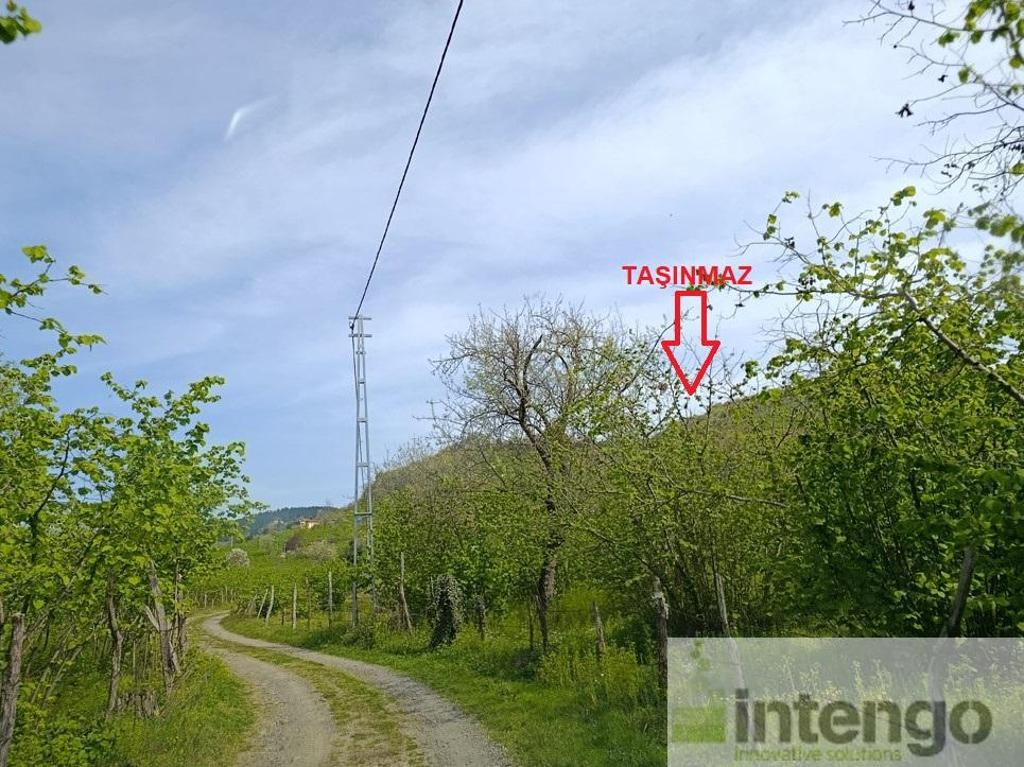 Satılık Arsa/Arazi - Ordu Ünye ilan görseli 23