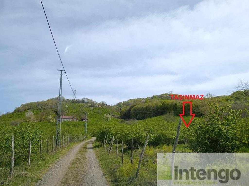 Satılık Arsa/Arazi - Ordu Ünye ilan görseli 26