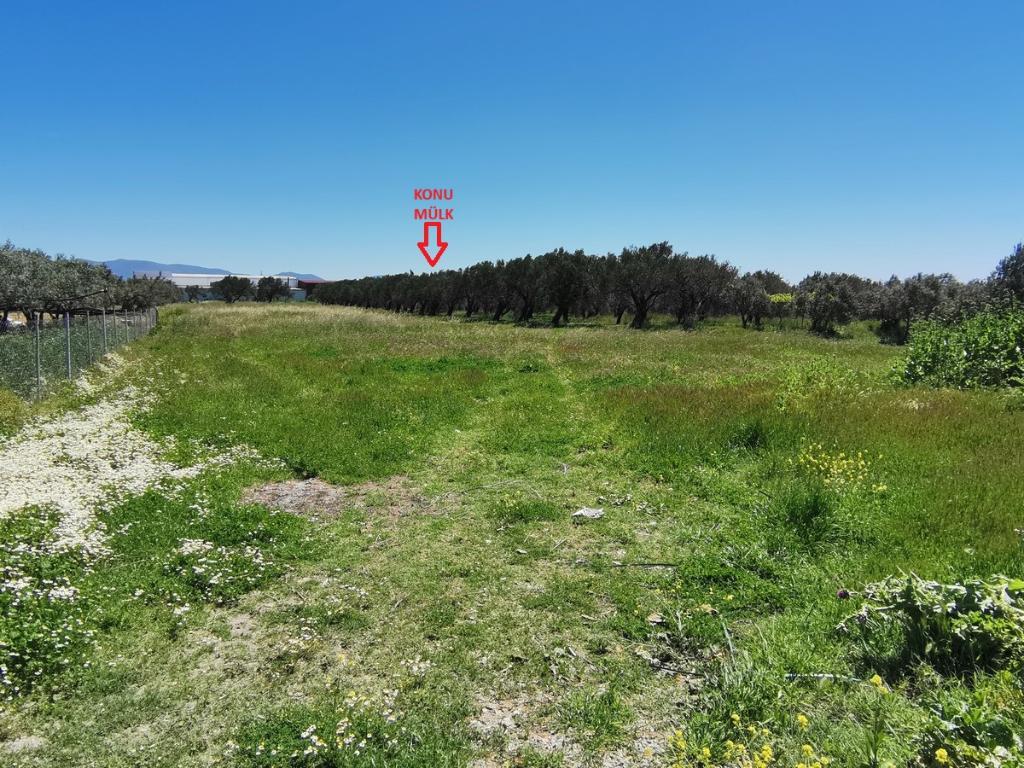 Satılık Arsa/Arazi - Manisa Akhisar ilan görseli 22