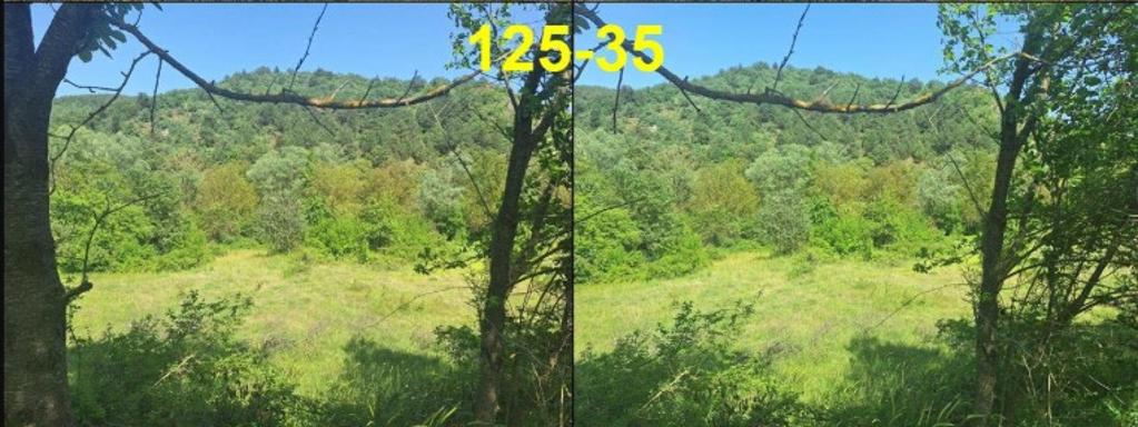 VakıfBank'tan Satılık Tarla