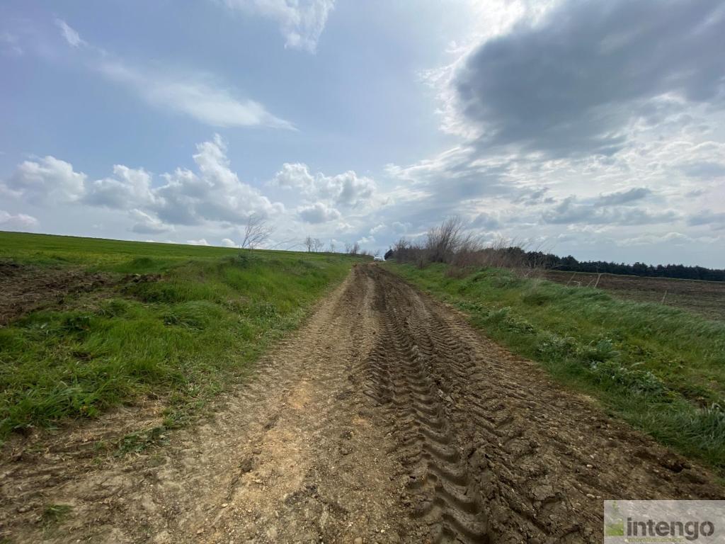 SİLİVRİ GAZİTEPE'DE SATILIK 39 DÖNÜM TARLA (L-1651)