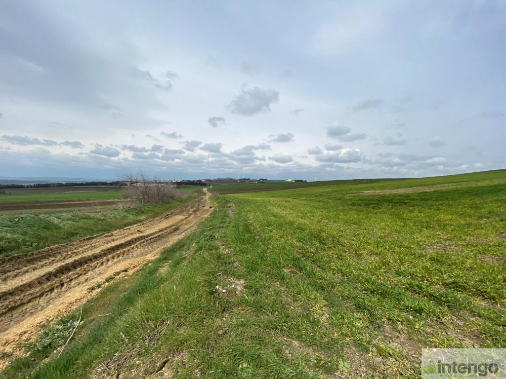SİLİVRİ GAZİTEPE'DE SATILIK 39 DÖNÜM TARLA (L-1651)