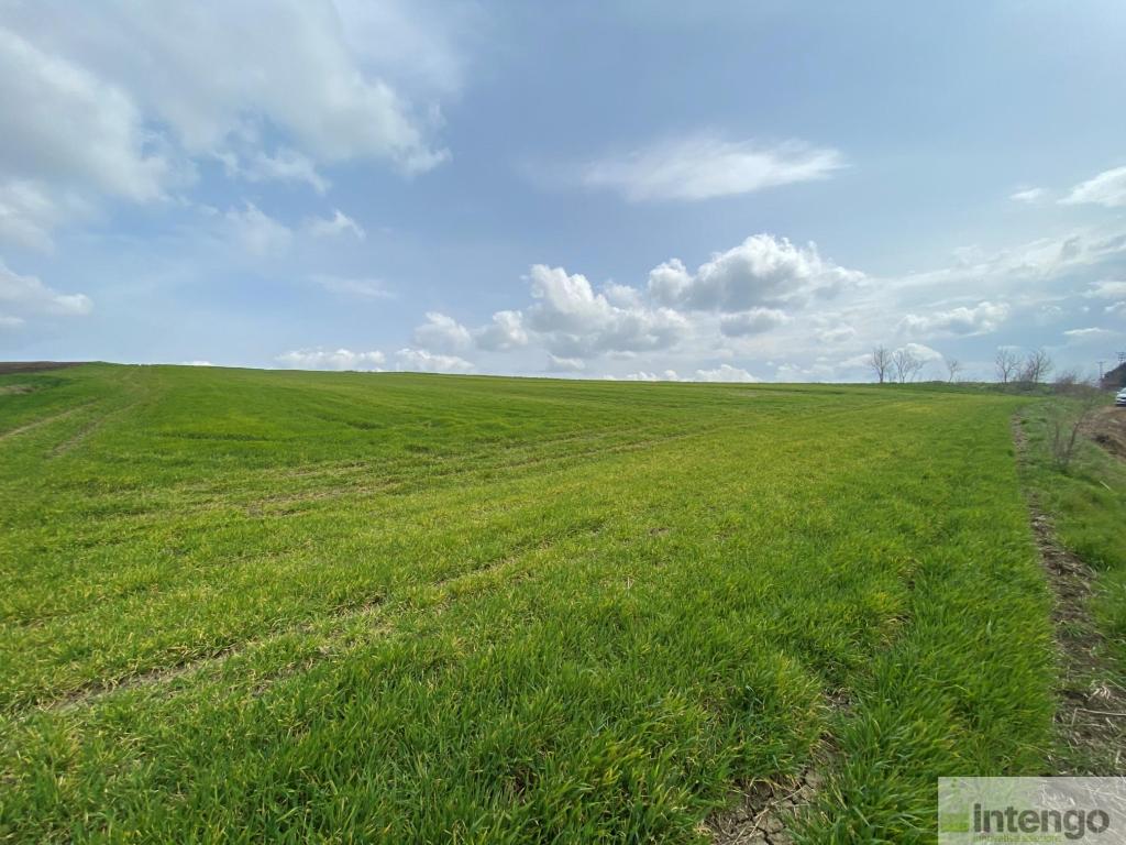 SİLİVRİ GAZİTEPE'DE SATILIK 39 DÖNÜM TARLA (L-1651)
