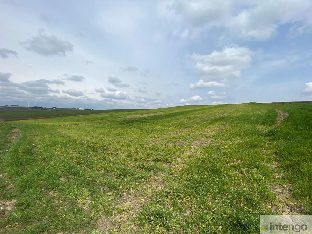 SİLİVRİ GAZİTEPE'DE SATILIK 39 DÖNÜM TARLA (L-1651)