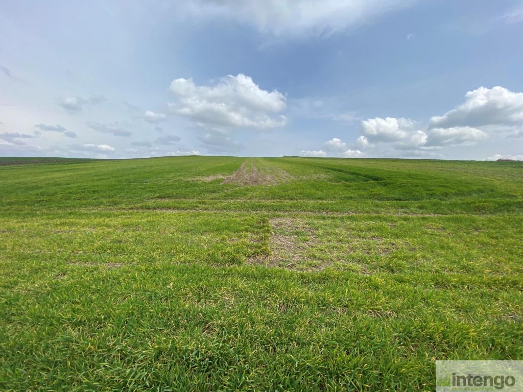 SİLİVRİ GAZİTEPE'DE SATILIK 39 DÖNÜM TARLA (L-1651)