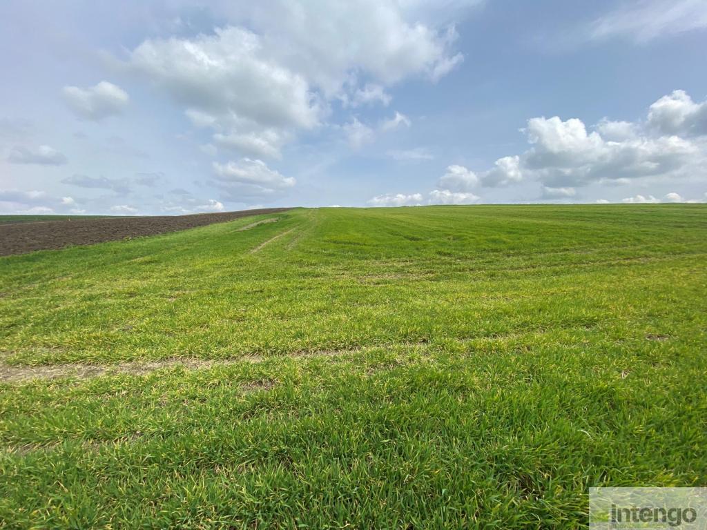 SİLİVRİ GAZİTEPE'DE SATILIK 39 DÖNÜM TARLA (L-1651)