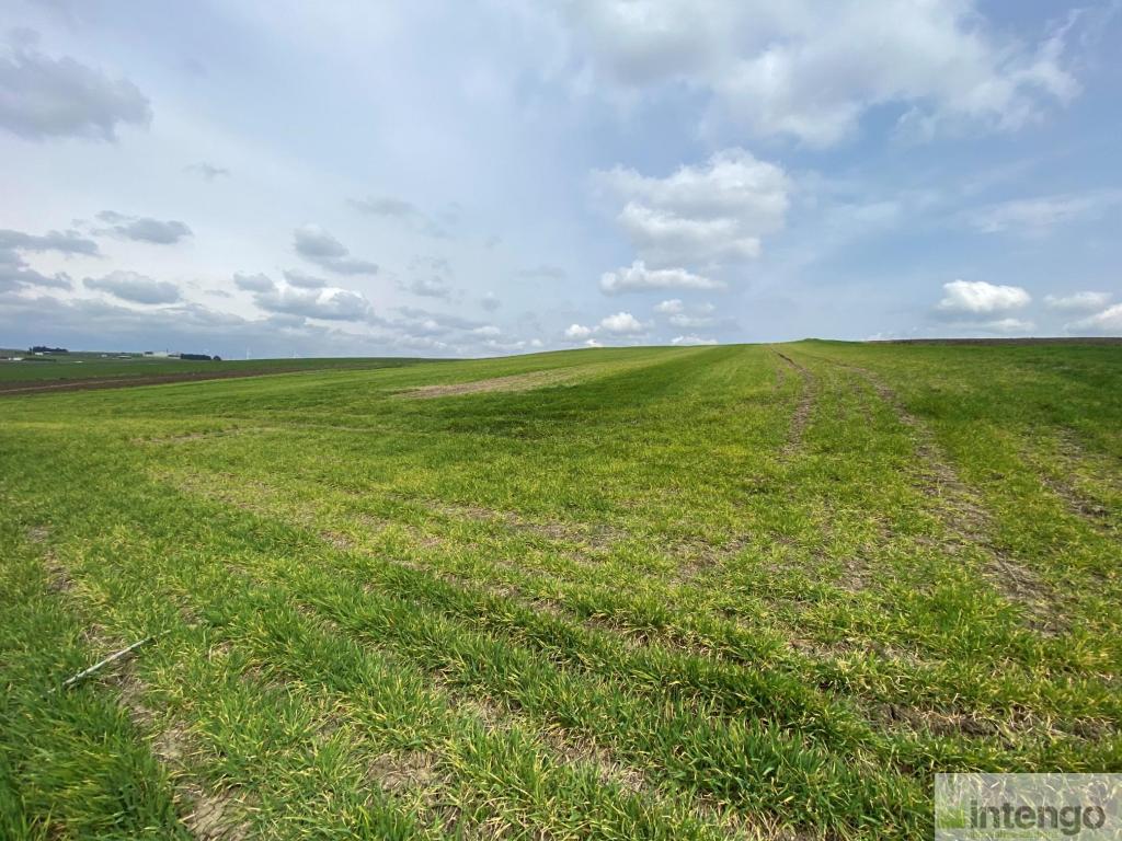 SİLİVRİ GAZİTEPE'DE SATILIK 39 DÖNÜM TARLA (L-1651)