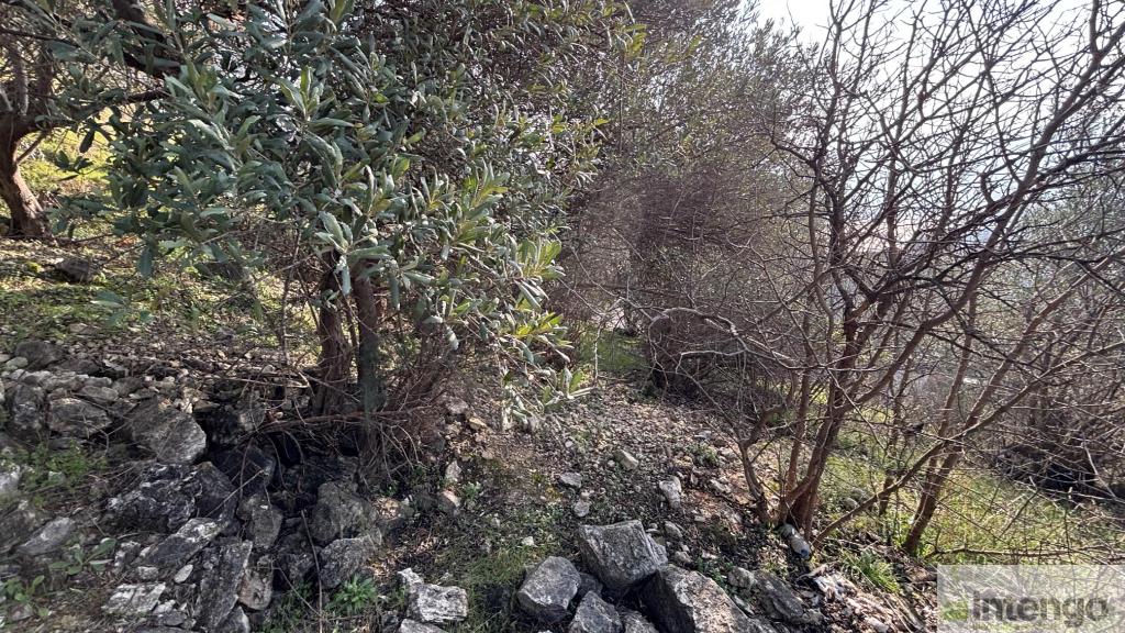 KARESİ KUVAYI MİLLİYE MAHALLESİ'NDE SATILIK İMARLI ARSA HİSSESİ (L-2320)