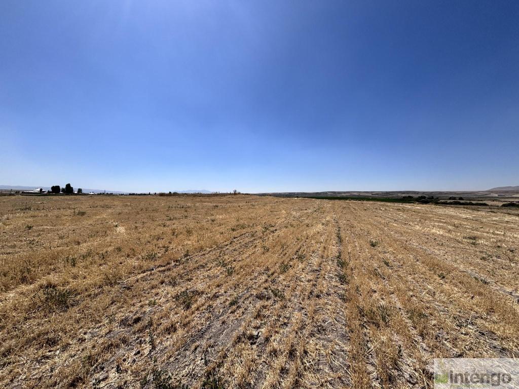 MALAZGİRT MOLLABAKİ KÖYÜ'NDE SATILIK TARLA (AB-978) — foto 9