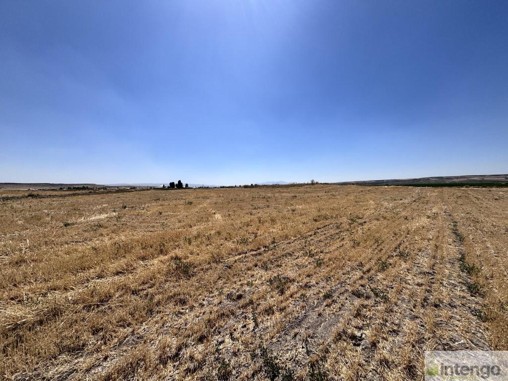MALAZGİRT MOLLABAKİ KÖYÜ'NDE SATILIK TARLA (AB-978) — foto 5