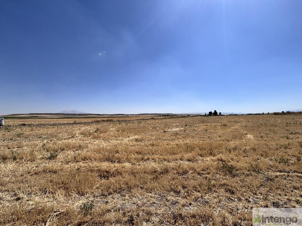 MALAZGİRT MOLLABAKİ KÖYÜ'NDE SATILIK TARLA (AB-978) — foto 8