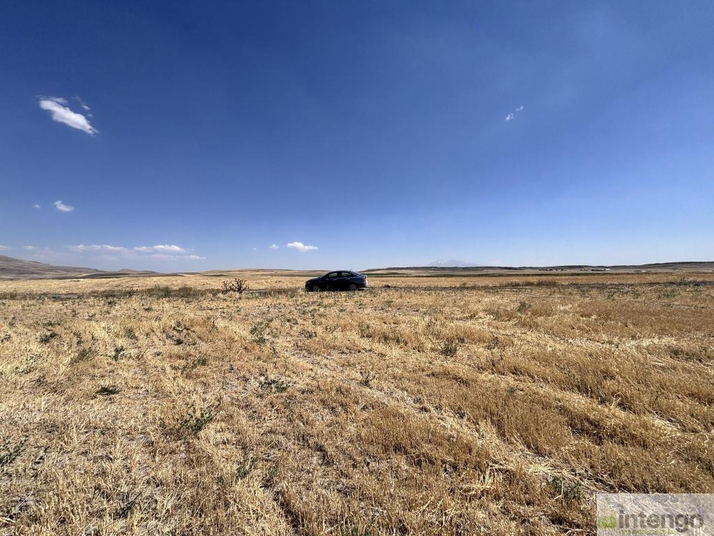 MALAZGİRT MOLLABAKİ KÖYÜ'NDE SATILIK TARLA (AB-978) — foto 6