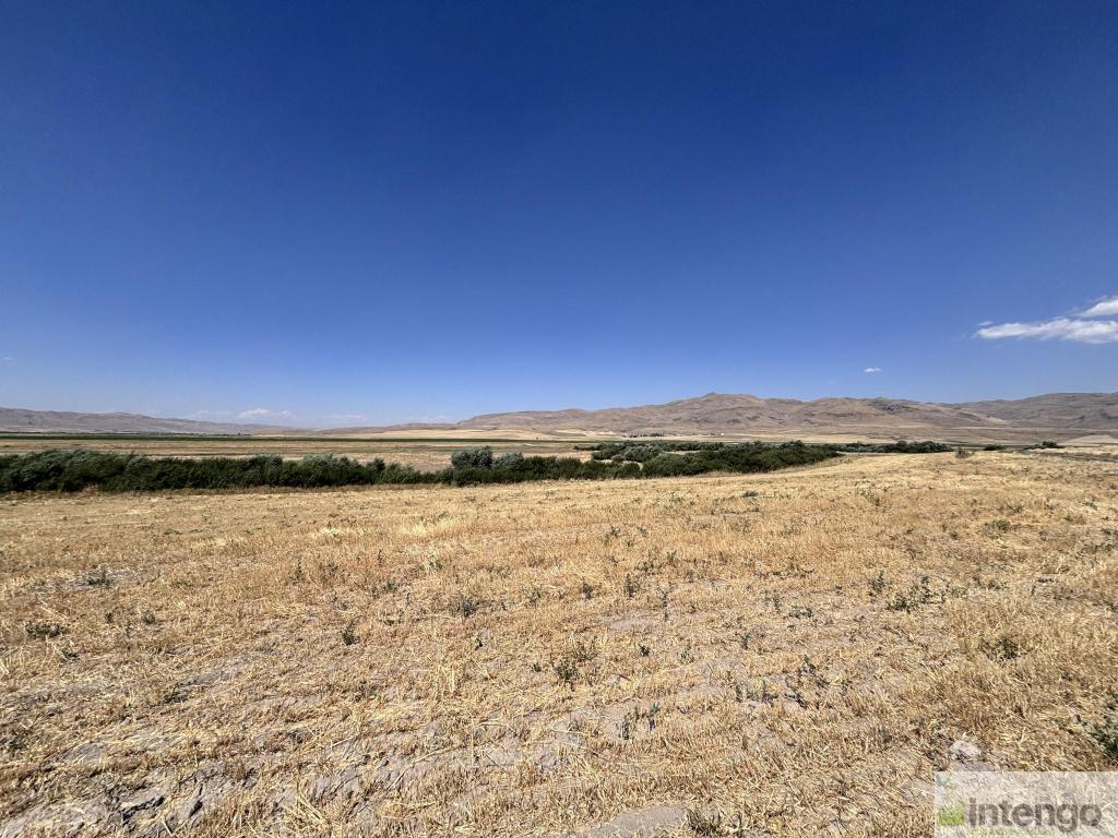 MALAZGİRT MOLLABAKİ KÖYÜ'NDE SATILIK TARLA (AB-978) — foto 2
