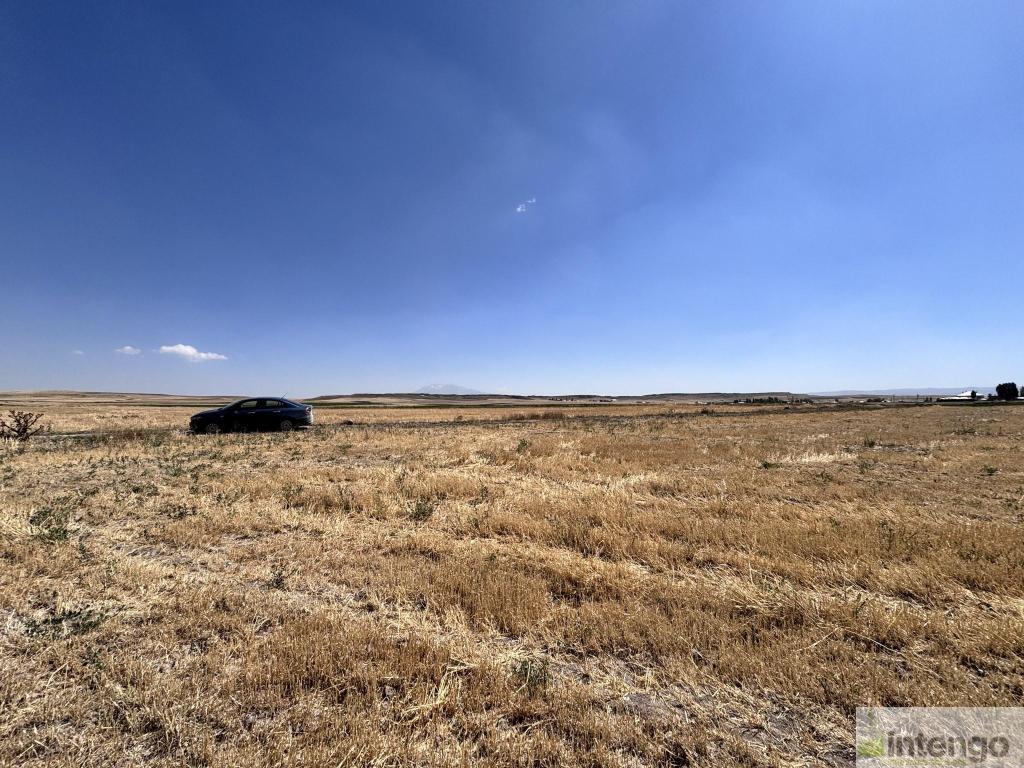 MALAZGİRT MOLLABAKİ KÖYÜ'NDE SATILIK TARLA (AB-978) — foto 7